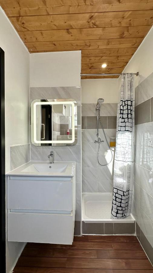 Lion'S Room - 2 Minute Walk From Palais Des Festivals And Beaches Cannes Exterior foto